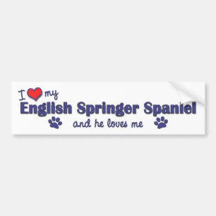 Adesivo Para Carro Eu amo meu Spaniel de Springer inglês (o cão