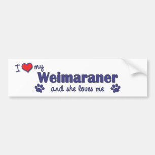 Adesivo Para Carro Eu amo meu Weimaraner (o cão fêmea)