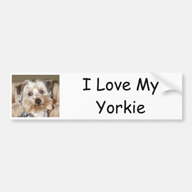 Adesivo Para Carro Eu Amo Meu Yorkie (Frente)