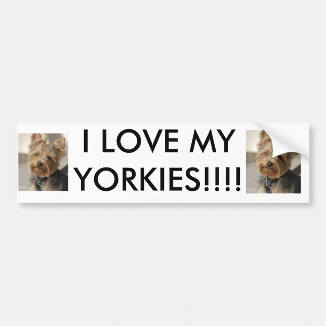 ADESIVO PARA CARRO EU AMO MEU YORKIES!!!! (Frente)