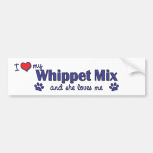 Adesivo Para Carro Eu amo minha mistura de Whippet (o cão fêmea)