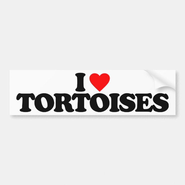 ADESIVO PARA CARRO EU AMO TARTARUGAS (Frente)