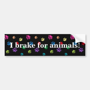 Adesivo Para Carro Eu Braço para Animais! Arco-Íris Pintado Pintas