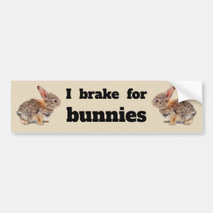 Adesivo Para Carro Eu Braço para Bunnies