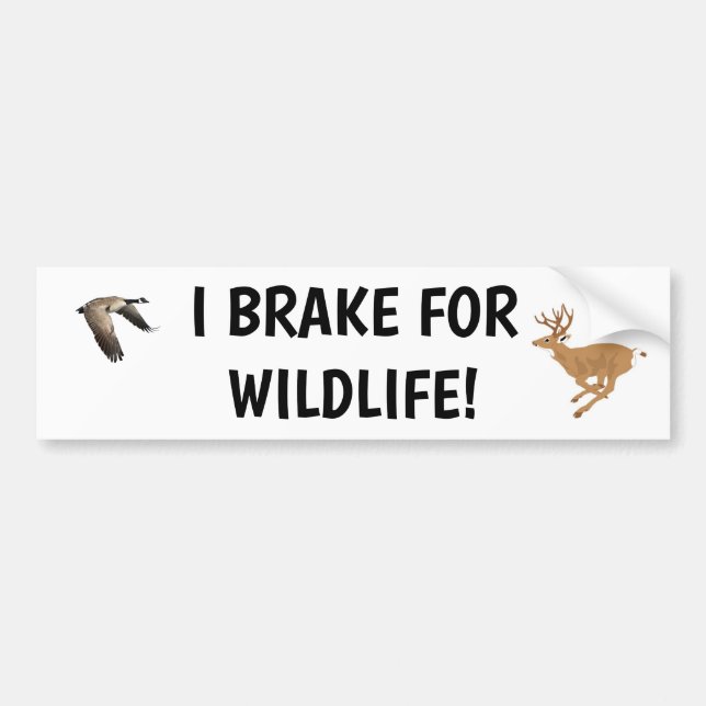 Adesivo Para Carro Eu brinco para a Wildlife Bumper Sticker (Frente)