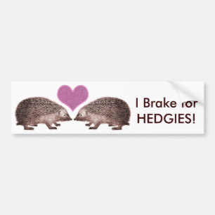 Adesivo Para Carro Eu brinco por HEDGIES! Salvar Hedgehogs Bumperstic