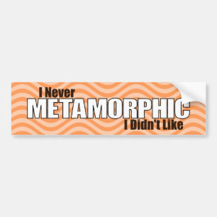 Adesivo Para Carro Eu nunca metamórfico mim não gostei (a laranja)