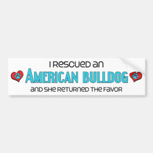 Adesivo Para Carro Eu salvei um buldogue americano (o cão fêmea)