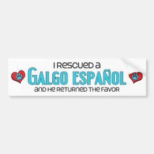 Adesivo Para Carro Eu salvei um Galgo Español (o cão masculino)