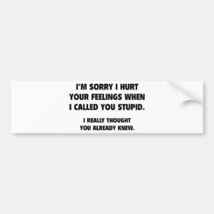Adesivo Para Carro Eu Te Chamei De Estúpida
