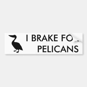Adesivo Para Carro EU TRAGO PARA PELICANS Bumper Sticker