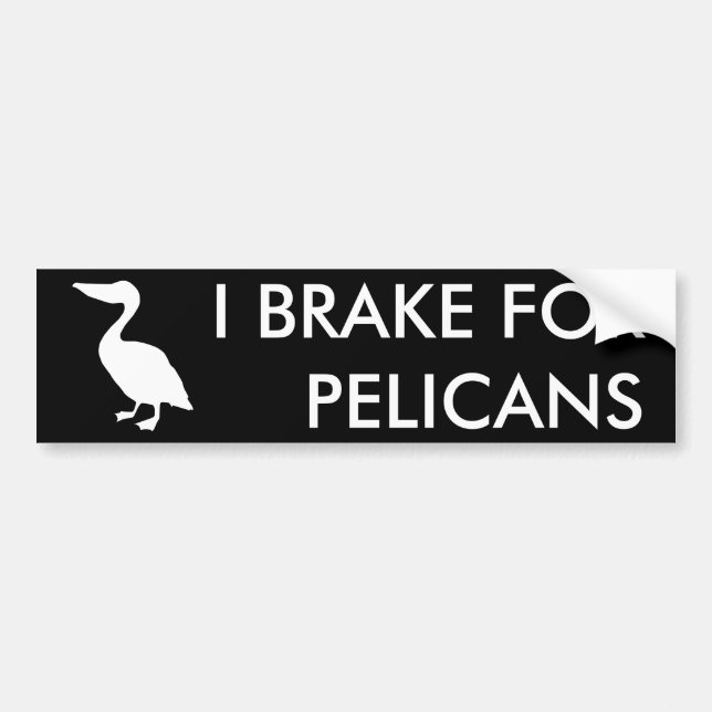 Adesivo Para Carro EU TRAGO PARA PELICANS Bumper Sticker (Frente)