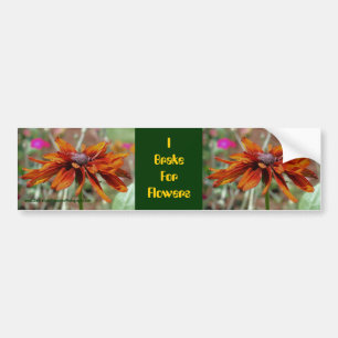 Adesivo Para Carro Eu Travão Para Flores Daisy Bumper Sticker