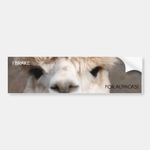 ADESIVO PARA CARRO EU TRAVO, PARA ALPACAS!