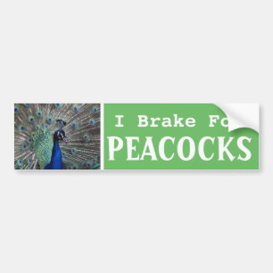 Adesivo Para Carro Eu Travo Para PEACOCKS