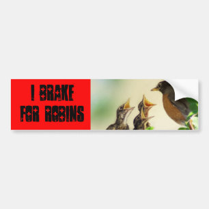 Adesivo Para Carro Eu travo para robins