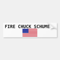 EUA-Bandeira-Grande, MANDRIL SCHUMER do FOGO!