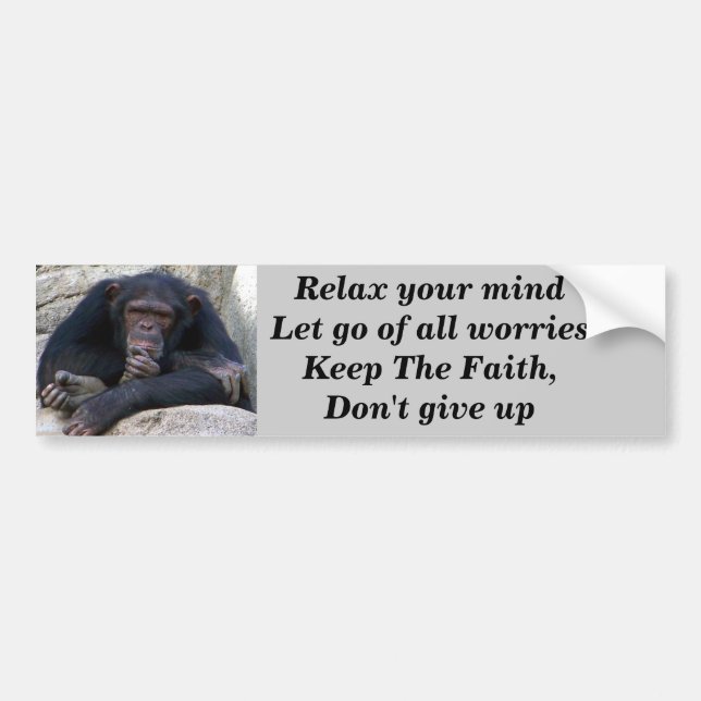 Adesivo Para Carro Eventuais Ocasiões_ (Frente)