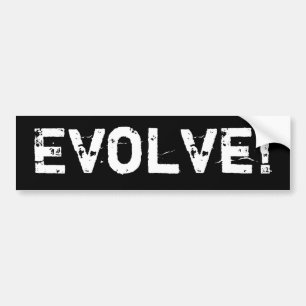 Adesivo Para Carro Evolua