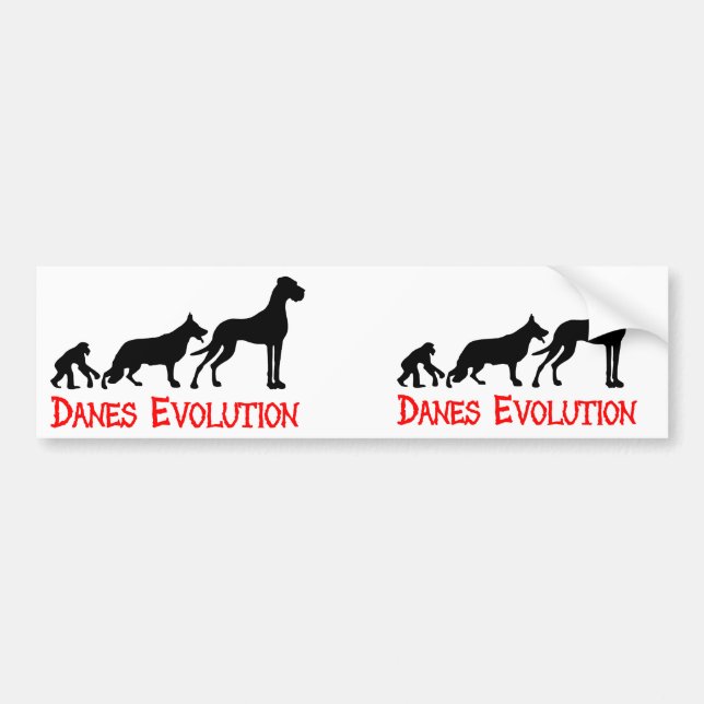 Adesivo Para Carro Evolução Danesa (Frente)