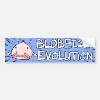 Adesivo Para Carro Evolução de Blobfish