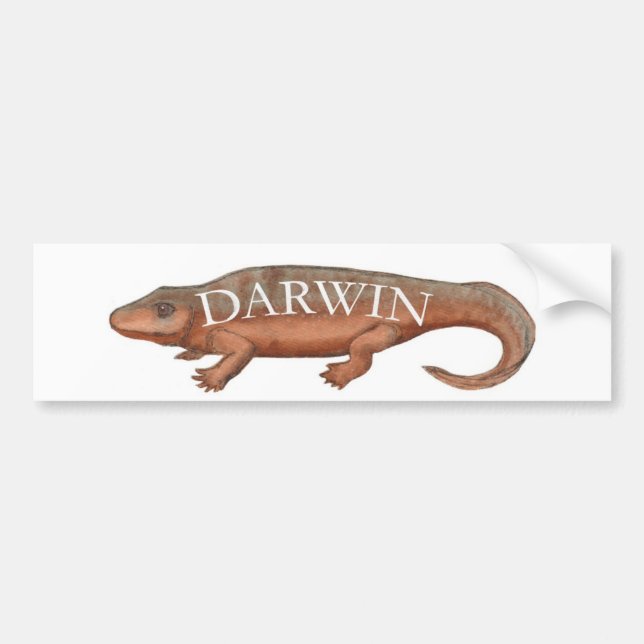 Adesivo Para Carro Evolução de Darwin Tetrapod (Frente)