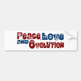 Adesivo Para Carro Evolução do amor da paz