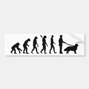 Adesivo Para Carro Evolução Terra Nova