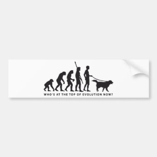 Adesivo Para Carro evolution dog