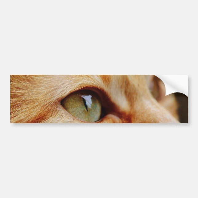 Adesivo Para Carro Face determinada de um gengibre (Frente)