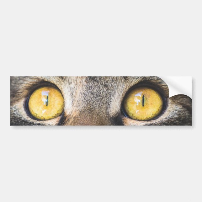 Adesivo Para Carro Fechamento de Gato com Olhos Amarelos (Frente)