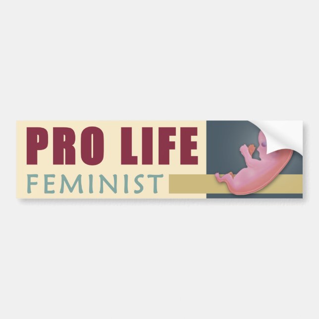 Adesivo Para Carro Feminista do Pro Life (Frente)