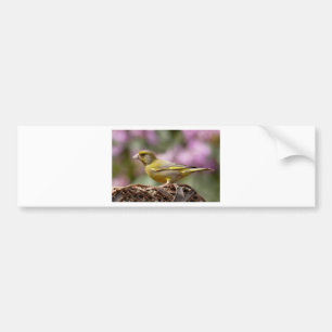 Adesivo Para Carro Finch Verde