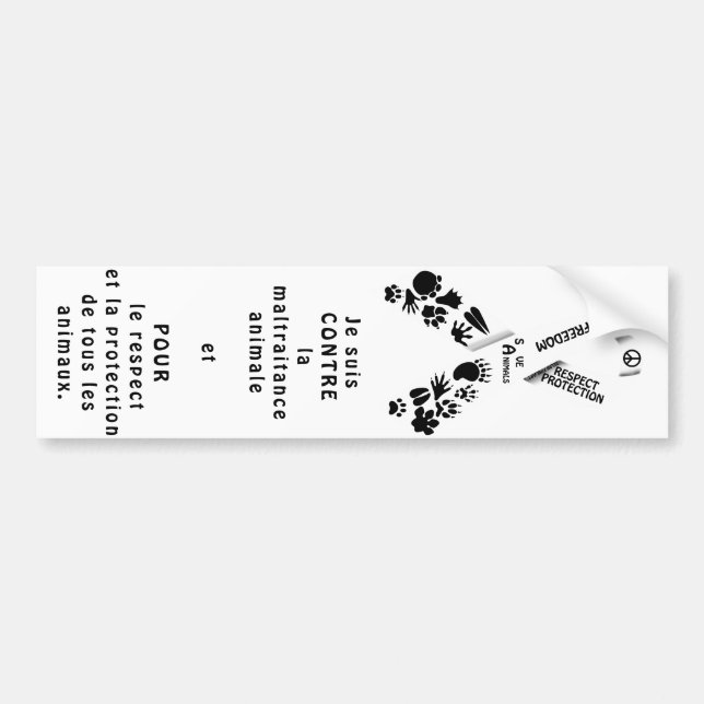 Adesivo Para Carro fita branca (Frente)