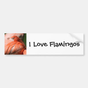 Adesivo Para Carro Flamingo Bumper Sticker