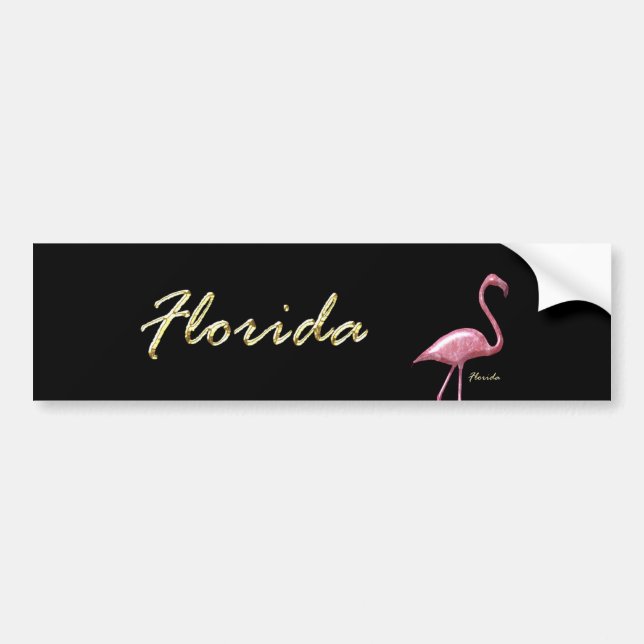 Adesivo Para Carro Flamingo de Florida (Frente)