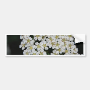 Adesivo Para Carro flor