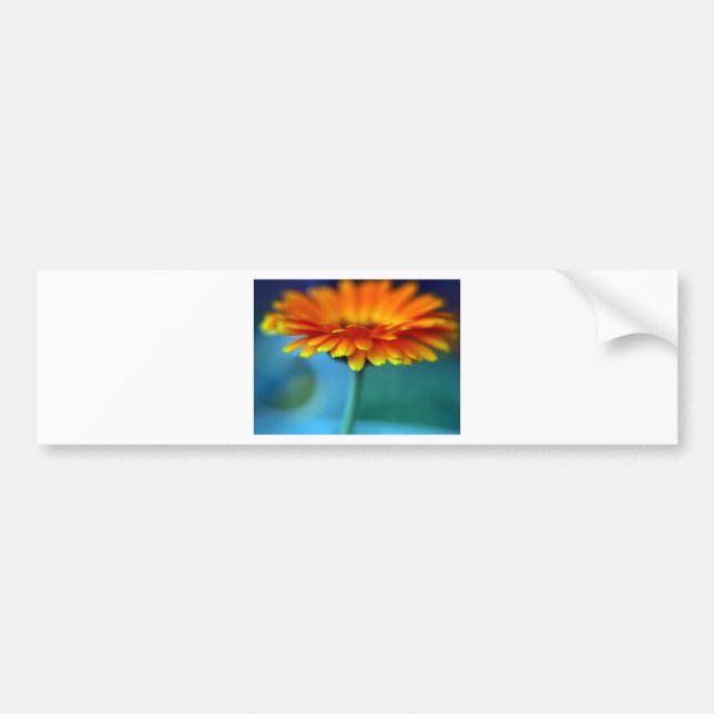 Adesivo Para Carro Flor alaranjada (Frente)