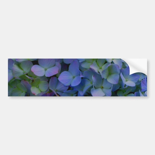 Adesivo Para Carro Flor azul-violeta azul-hidrangeas-violeta floral (Frente)