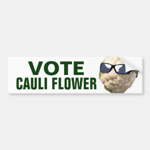 Adesivo Para Carro Flor de Cauli do voto