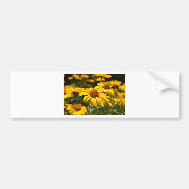 Adesivo Para Carro flores-2824808 (Frente)