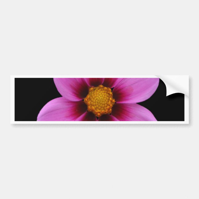 Adesivo Para Carro Flores bonitas (Frente)
