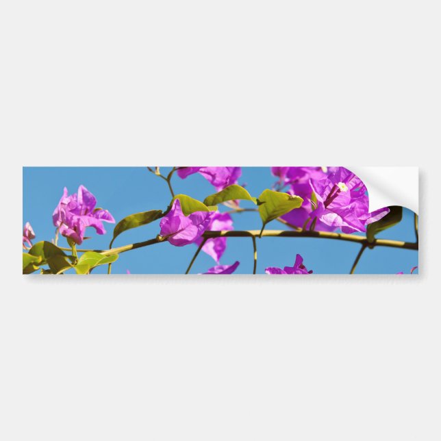 Adesivo Para Carro Flores Bougainvillea (Frente)