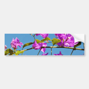 Adesivo Para Carro Flores de Bougainvillea