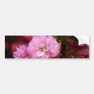 Adesivo Para Carro Flores de cerejeira bonitas do rosa do primavera