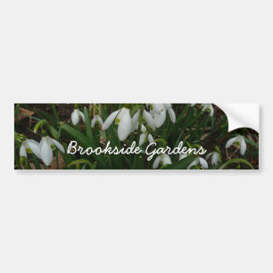 Adesivo Para Carro Flores de primavera Brancas I (Galanthus)