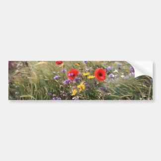 Adesivo Para Carro Flores selvagens
