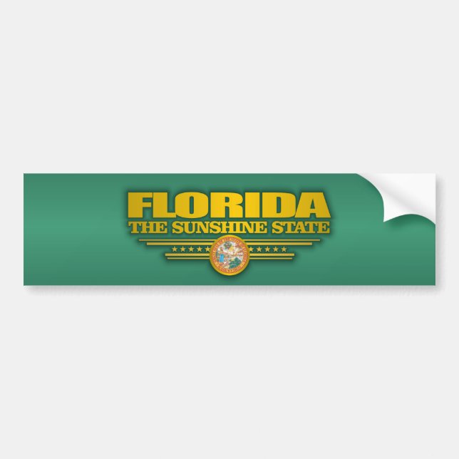 Adesivo Para Carro Florida Pride (Frente)