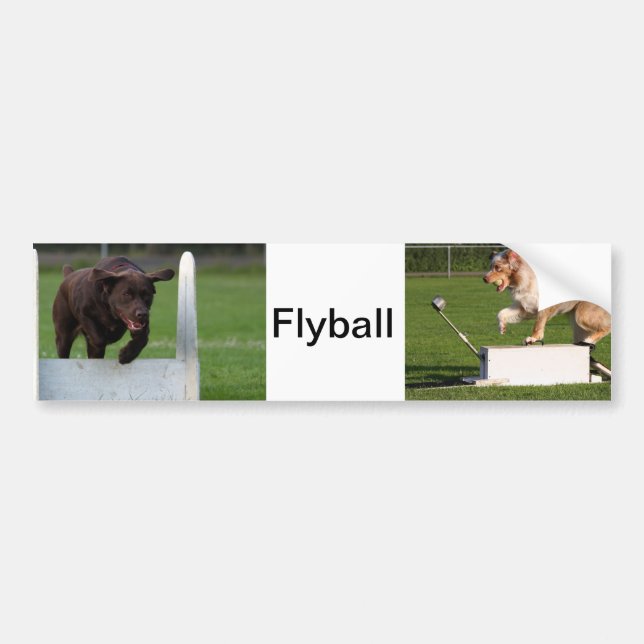 Adesivo Para Carro Flyball (Frente)