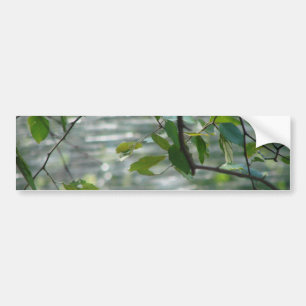 Adesivo Para Carro Folhas do verde da esperança
